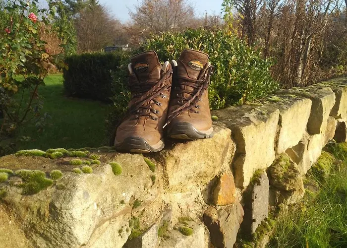 Апартаменты Twete Детмольд